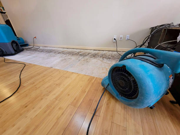Professional Water Damage Repair technician working in Levan, UT